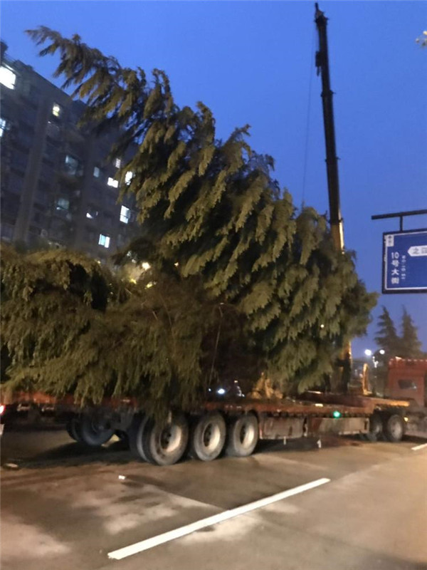 雪松基地實(shí)拍圖